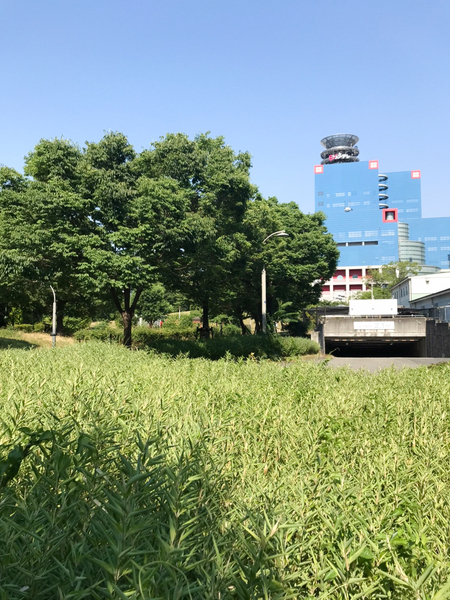 公園　扇町公園（公園）まで660m