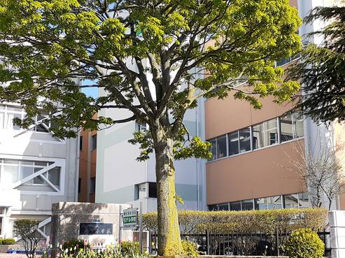 小学校　八戸市立城下小学校（小学校）まで256m