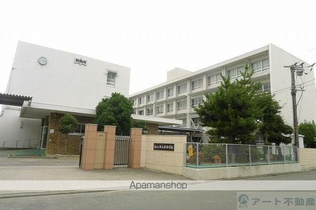 中学校　南中学校（中学校）まで392m