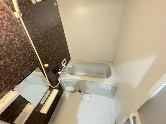 バス・シャワールーム　※別部屋の写真です