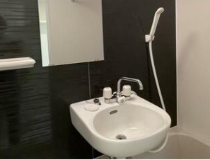 洗面設備　洗面所です