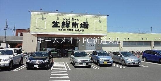 スーパー　ジェイアール生鮮市場新川店（スーパー）まで562m