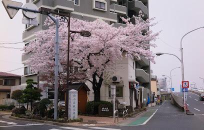 警察署・交番　小岩警察署 西小岩交番（警察署・交番）まで300m