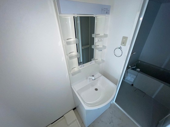 洗面設備　※別部屋の写真です