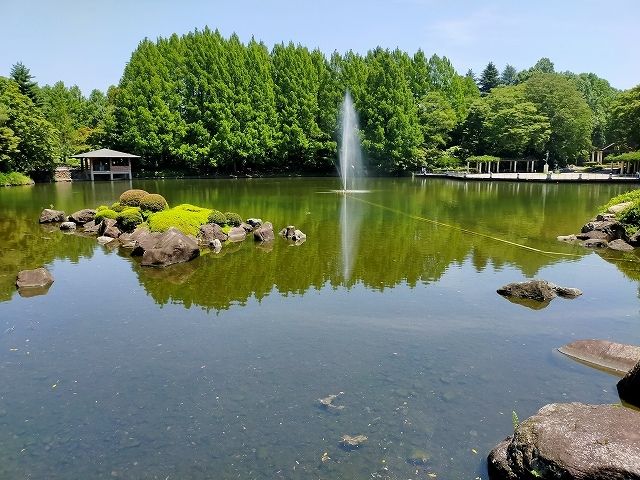 公園　中央公園（公園）まで320m