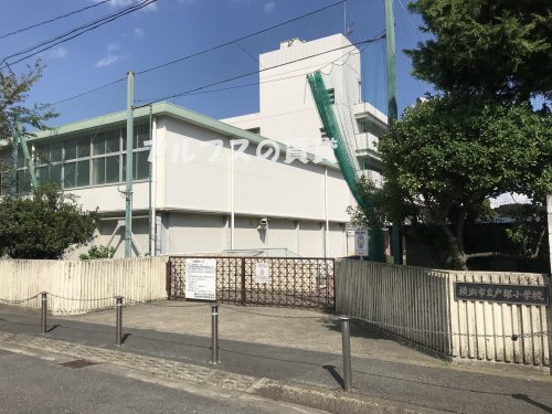 小学校　横浜市立戸部小学校（小学校）まで519m