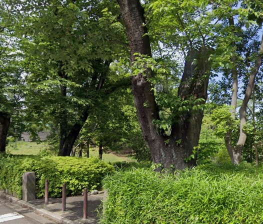 公園　もえぎ野公園（公園）まで486m