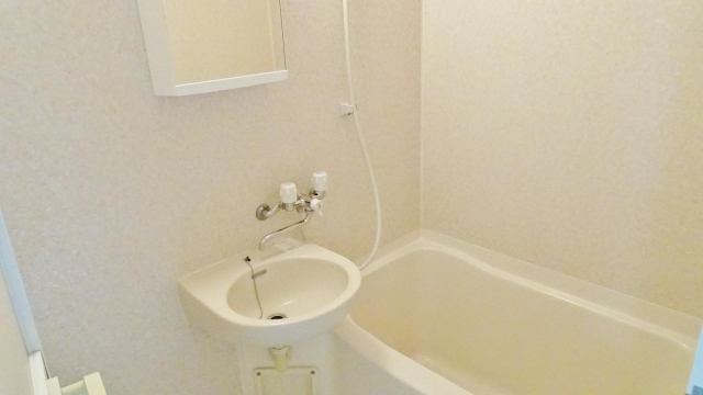 バス・シャワールーム　落ち着いた空間のお風呂です