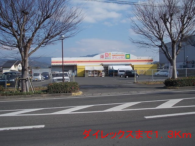 その他　ダイレックス（その他）まで1300m