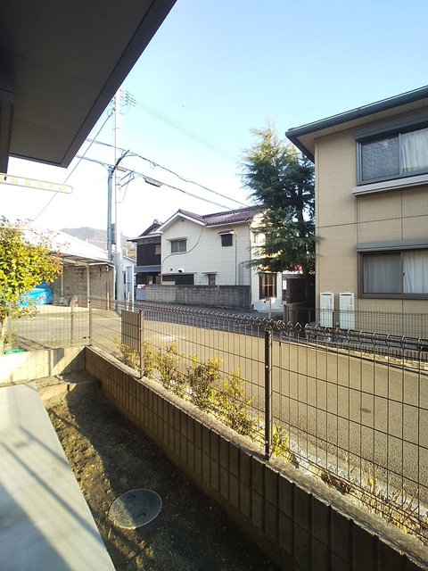 庭