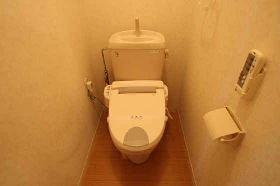トイレ　※他号室の写真です