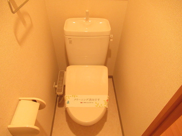 トイレ　同仕様・同タイプ別号室の写真です