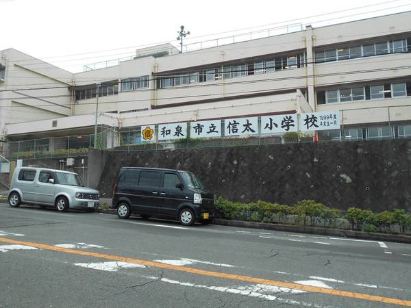 小学校　和泉市立信太小学校（小学校）まで850m
