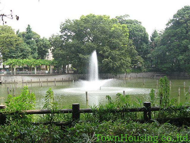 その他　碑文谷池（その他）まで430m