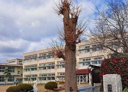 その他　平磯小学校まで500m