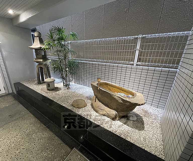 庭