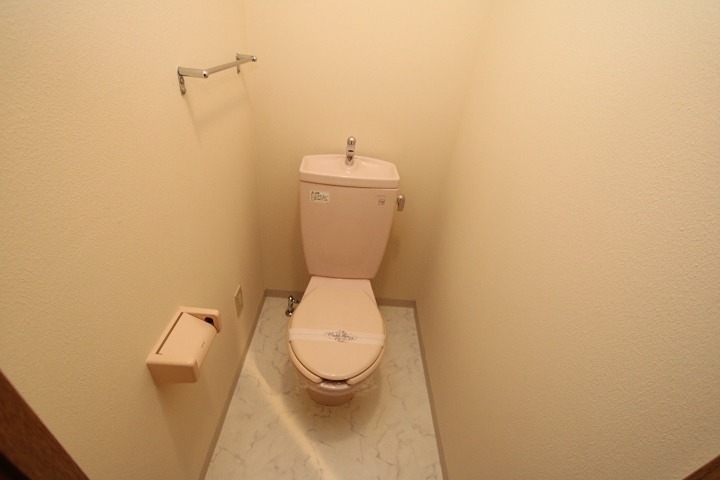 ルーセントオーデン・アネックスのトイレ写真