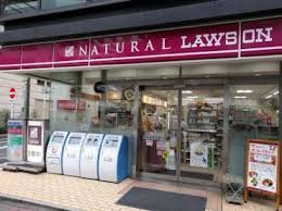 コンビニ　ナチュラルローソン銀座二丁目店（コンビニ）まで51m
