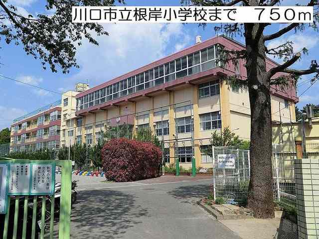 小学校　川口市立根岸小学校（小学校）まで750m