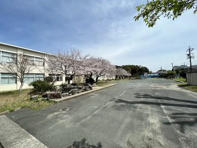 小学校　豊橋市立二川小学校（小学校）まで300m