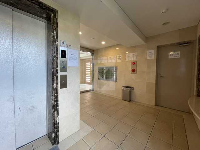 その他　デュオ・スカーラ田端