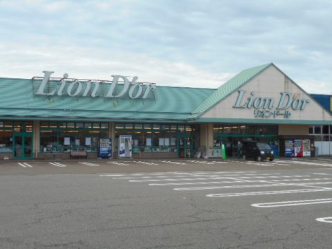 スーパー　リオン・ドール大崎店（スーパー）まで1748m