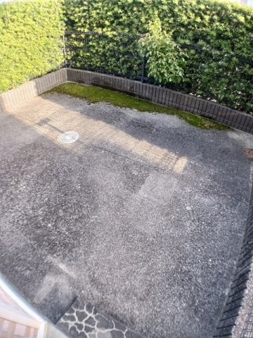 庭　お庭です