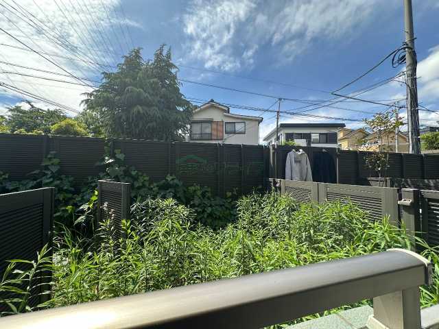 眺望