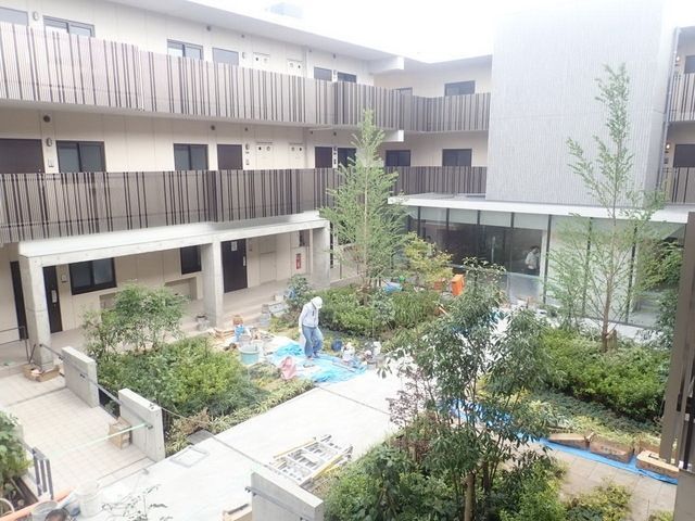 庭
