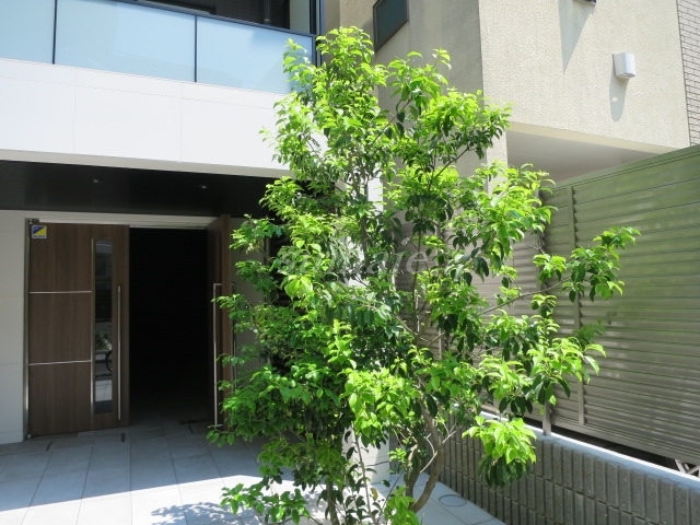 その他　緑があって癒されますね☆