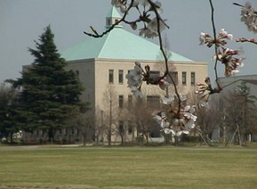 図書館　上野学園大学図書館（図書館）まで518m