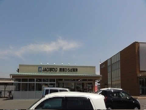 その他　ＪＡひまわり信用金庫まで240m