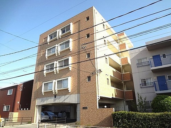 パインシティ