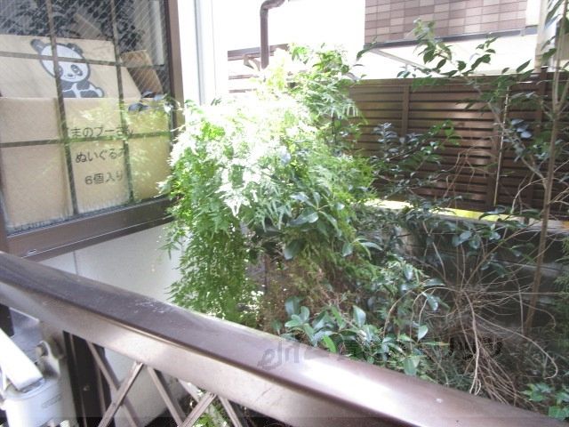 眺望　眺望