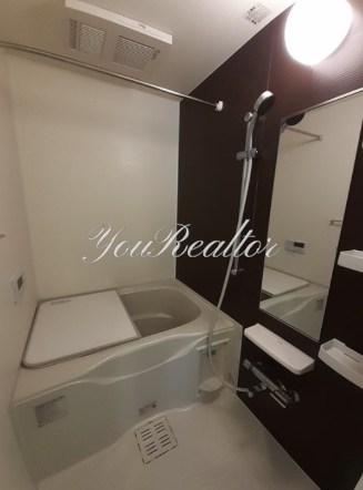 東京メトロ南北線 白金高輪駅 徒歩5分 4階建 築13年の風呂写真
