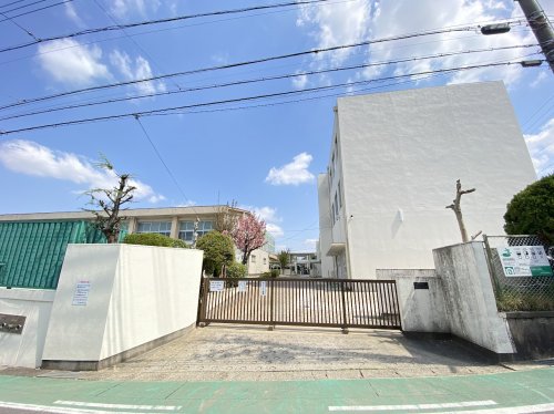小学校　名古屋市立宮根小学校（小学校）まで542m