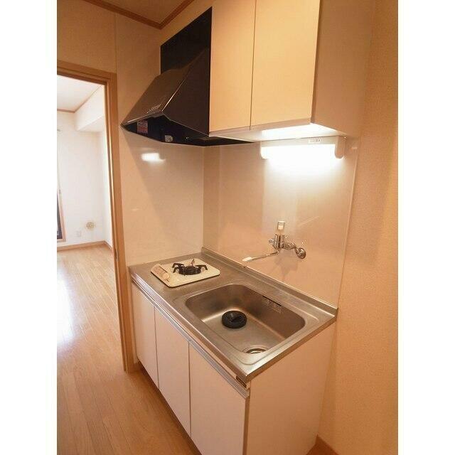 キッチン　同タイプ・別部屋画像