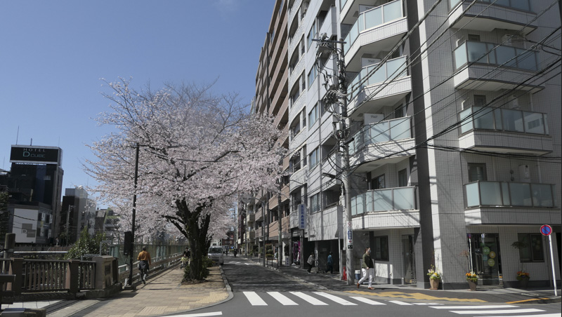 フェリーチェ巣鴨