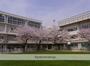 小学校　八名川小学校（小学校）まで352m