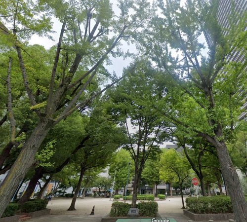公園　新町南公園（公園）まで894m