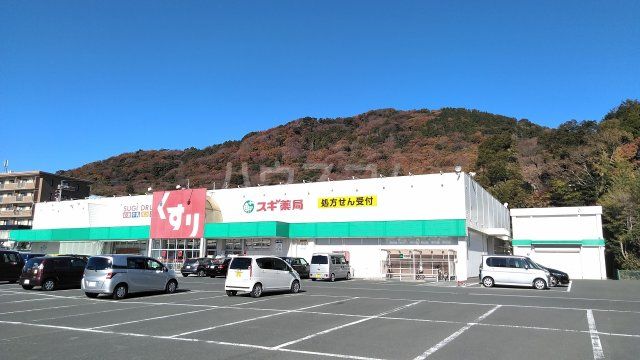 【豊橋市細谷町のアパートのドラックストア】