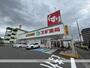 ドラックストア　スギ薬局向山店（ドラッグストア）まで1717m
