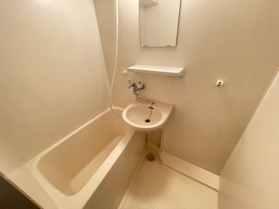 バス・シャワールーム　※別部屋の写真です