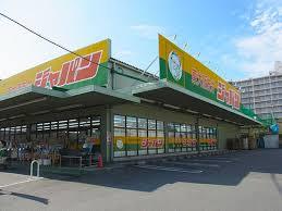 ショッピングセンター　ジャパン 東大阪若江店（ショッピングセンター）まで497m