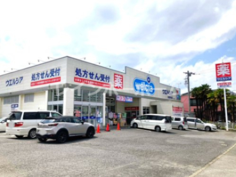 ドラックストア　ウエルシア柏酒井根店（ドラッグストア）まで1151m