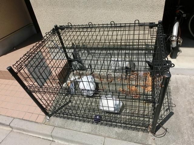 その他共有部分　★敷地内ゴミ置き場★