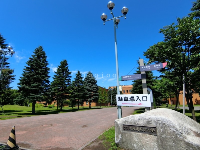 【札幌市北区あいの里三条のマンションの大学・短大】