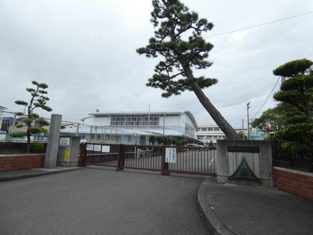 小学校　青島小学校（小学校）まで552m