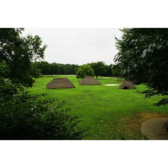 公園　水子貝塚公園（公園）まで600m
