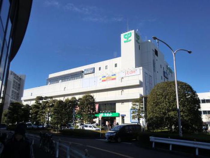 スーパー　サミット（スーパー）まで1100m